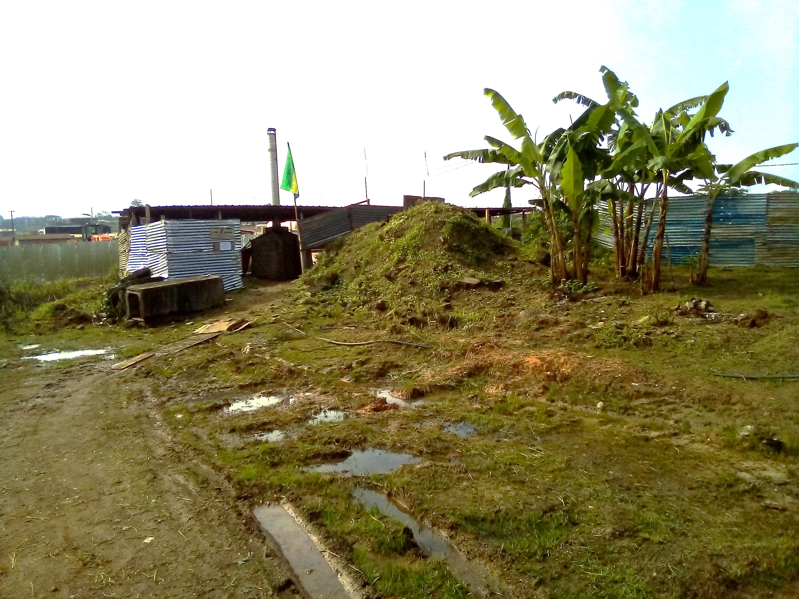 Tri et conditionnement